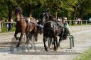 Dateiname=20160815_r08_33.jpg
Dateigröße=161KB
Abmessungen: 750x500
hinzugefügt am: 28. August 2016 20160815_r08_33.jpg