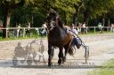 Dateiname=20160815_r08_34.jpg
Dateigröße=149KB
Abmessungen: 750x500
hinzugefügt am: 28. August 2016 20160815_r08_34.jpg