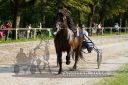 Dateiname=20160815_r08_35.jpg
Dateigröße=149KB
Abmessungen: 750x500
hinzugefügt am: 28. August 2016 20160815_r08_35.jpg