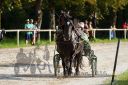 Dateiname=20160815_r08_44.jpg
Dateigröße=126KB
Abmessungen: 750x500
hinzugefügt am: 28. August 2016 20160815_r08_44.jpg