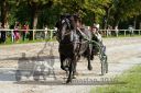 Dateiname=20160815_r08_49.jpg
Dateigröße=150KB
Abmessungen: 750x500
hinzugefügt am: 28. August 2016 20160815_r08_49.jpg