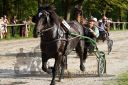 Dateiname=20160815_r08_53.jpg
Dateigröße=147KB
Abmessungen: 750x500
hinzugefügt am: 28. August 2016 20160815_r08_53.jpg