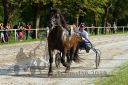 Dateiname=20160815_r08_56.jpg
Dateigröße=162KB
Abmessungen: 750x500
hinzugefügt am: 28. August 2016 20160815_r08_56.jpg