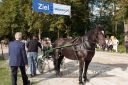 Dateiname=20160815_r08_67.jpg
Dateigröße=169KB
Abmessungen: 750x500
hinzugefügt am: 28. August 2016 20160815_r08_67.jpg