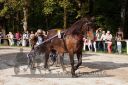 Dateiname=20160815_r08_82.jpg
Dateigröße=147KB
Abmessungen: 750x500
hinzugefügt am: 28. August 2016 20160815_r08_82.jpg
