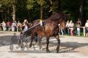 Dateiname=20160815_r08_83.jpg
Dateigröße=144KB
Abmessungen: 750x500
hinzugefügt am: 28. August 2016 20160815_r08_83.jpg