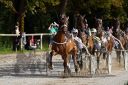 Dateiname=20160815_r09_033.jpg
Dateigröße=140KB
Abmessungen: 750x500
hinzugefügt am: 28. August 2016 20160815_r09_033.jpg