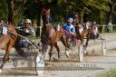 Dateiname=20160815_r09_051.jpg
Dateigröße=157KB
Abmessungen: 750x500
hinzugefügt am: 28. August 2016 20160815_r09_051.jpg