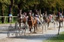 Dateiname=20160815_r09_055.jpg
Dateigröße=164KB
Abmessungen: 750x500
hinzugefügt am: 28. August 2016 20160815_r09_055.jpg