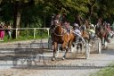 Dateiname=20160815_r09_056.jpg
Dateigröße=159KB
Abmessungen: 750x500
hinzugefügt am: 28. August 2016 20160815_r09_056.jpg