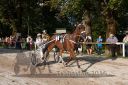 Dateiname=20160815_r09_105.jpg
Dateigröße=153KB
Abmessungen: 750x500
hinzugefügt am: 28. August 2016 20160815_r09_105.jpg