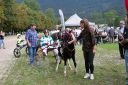 Dateiname=20160815_103_37.jpg
Dateigröße=152KB
Abmessungen: 750x500
hinzugefügt am: 28. August 2016 20160815_103_37.jpg