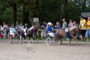 Dateiname=20160815_103_41.jpg
Dateigröße=142KB
Abmessungen: 750x500
hinzugefügt am: 28. August 2016 20160815_103_41.jpg