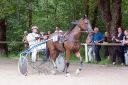 Dateiname=20160815_105_32.jpg
Dateigröße=153KB
Abmessungen: 750x500
hinzugefügt am: 28. August 2016 20160815_105_32.jpg