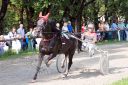 Dateiname=20160815_105_49.jpg
Dateigröße=143KB
Abmessungen: 750x500
hinzugefügt am: 28. August 2016 20160815_105_49.jpg