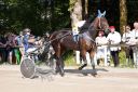 Dateiname=20160815_105_56.jpg
Dateigröße=141KB
Abmessungen: 750x500
hinzugefügt am: 28. August 2016 20160815_105_56.jpg