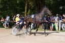 Dateiname=20160815_105_73.jpg
Dateigröße=144KB
Abmessungen: 750x500
hinzugefügt am: 28. August 2016 20160815_105_73.jpg