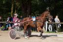 Dateiname=20160815_105_76.jpg
Dateigröße=135KB
Abmessungen: 750x500
hinzugefügt am: 28. August 2016 20160815_105_76.jpg
