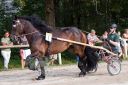Dateiname=20160815_107_06.jpg
Dateigröße=136KB
Abmessungen: 750x500
hinzugefügt am: 28. August 2016 20160815_107_06.jpg
