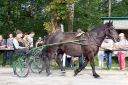 Dateiname=20160815_107_07.jpg
Dateigröße=163KB
Abmessungen: 750x500
hinzugefügt am: 28. August 2016 20160815_107_07.jpg