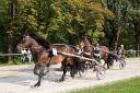 Dateiname=20160815_107_19.jpg
Dateigröße=180KB
Abmessungen: 750x500
hinzugefügt am: 28. August 2016 20160815_107_19.jpg