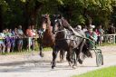 Dateiname=20160815_107_21.jpg
Dateigröße=151KB
Abmessungen: 750x500
hinzugefügt am: 28. August 2016 20160815_107_21.jpg