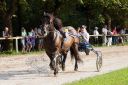 Dateiname=20160815_107_24.jpg
Dateigröße=147KB
Abmessungen: 750x500
hinzugefügt am: 28. August 2016 20160815_107_24.jpg