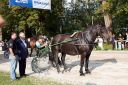 Dateiname=20160815_107_34.jpg
Dateigröße=167KB
Abmessungen: 750x500
hinzugefügt am: 28. August 2016 20160815_107_34.jpg