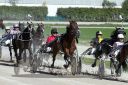 Dateiname=20160827_r04_067.jpg
Dateigröße=139KB
Abmessungen: 750x500
hinzugefügt am: 28. August 2016 20160827_r04_067.jpg
