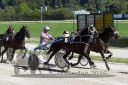 Dateiname=20160827_r04_072.jpg
Dateigröße=133KB
Abmessungen: 750x500
hinzugefügt am: 28. August 2016 20160827_r04_072.jpg