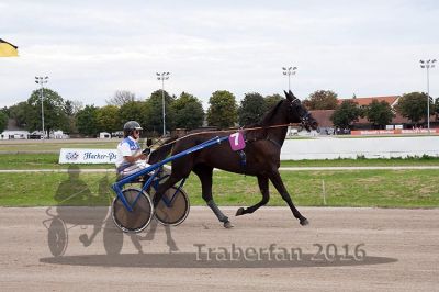 20160904_r02_007.jpg