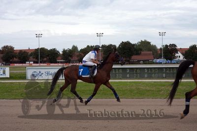 20160904_r06_005.jpg