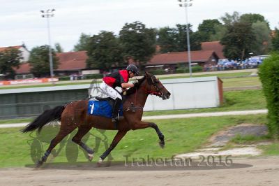 20160904_r06_056.jpg