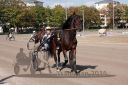 Dateiname=20160924_r02_010.jpg
Dateigröße=128KB
Abmessungen: 750x500
hinzugefügt am: 29. September 2016 20160924_r02_010.jpg