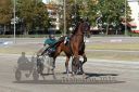 Dateiname=20160924_r04_036.jpg
Dateigröße=136KB
Abmessungen: 750x500
hinzugefügt am: 29. September 2016 20160924_r04_036.jpg