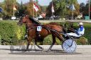 Dateiname=20160924_r04_052.jpg
Dateigröße=169KB
Abmessungen: 750x500
hinzugefügt am: 29. September 2016 20160924_r04_052.jpg