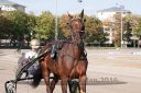 Dateiname=20160924_r05_039.jpg
Dateigröße=124KB
Abmessungen: 750x500
hinzugefügt am: 29. September 2016 20160924_r05_039.jpg
