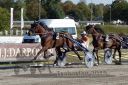 Dateiname=20160924_r05_076.jpg
Dateigröße=133KB
Abmessungen: 750x500
hinzugefügt am: 29. September 2016 20160924_r05_076.jpg
