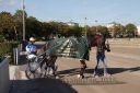 Dateiname=20160924_r05_153.jpg
Dateigröße=121KB
Abmessungen: 750x500
hinzugefügt am: 29. September 2016 20160924_r05_153.jpg