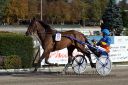 Dateiname=20160924_r06_019.jpg
Dateigröße=144KB
Abmessungen: 750x500
hinzugefügt am: 29. September 2016 20160924_r06_019.jpg