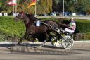 Dateiname=20160924_r07_045.jpg
Dateigröße=132KB
Abmessungen: 750x500
hinzugefügt am: 29. September 2016 20160924_r07_045.jpg
