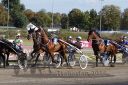 Dateiname=20160924_r07_073.jpg
Dateigröße=147KB
Abmessungen: 750x500
hinzugefügt am: 29. September 2016 20160924_r07_073.jpg