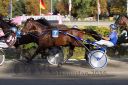 Dateiname=20160924_r07_079.jpg
Dateigröße=134KB
Abmessungen: 750x500
hinzugefügt am: 29. September 2016 20160924_r07_079.jpg