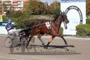 Dateiname=20160924_r09_005.jpg
Dateigröße=123KB
Abmessungen: 750x500
hinzugefügt am: 29. September 2016 20160924_r09_005.jpg