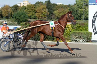 20160924_r10_032.jpg