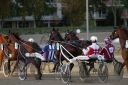 Dateiname=20160924_r10_137.jpg
Dateigröße=115KB
Abmessungen: 750x500
hinzugefügt am: 29. September 2016 20160924_r10_137.jpg