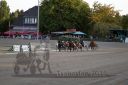 Dateiname=20160924_r10_138.jpg
Dateigröße=112KB
Abmessungen: 750x500
hinzugefügt am: 29. September 2016 20160924_r10_138.jpg