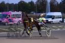 Dateiname=20160924_r12_041.jpg
Dateigröße=101KB
Abmessungen: 750x500
hinzugefügt am: 29. September 2016 20160924_r12_041.jpg