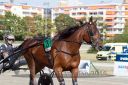 Dateiname=20160925_r01_024.jpg
Dateigröße=120KB
Abmessungen: 750x500
hinzugefügt am: 29. September 2016 20160925_r01_024.jpg