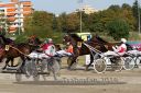 Dateiname=20160925_r03_063.jpg
Dateigröße=146KB
Abmessungen: 750x500
hinzugefügt am: 29. September 2016 20160925_r03_063.jpg